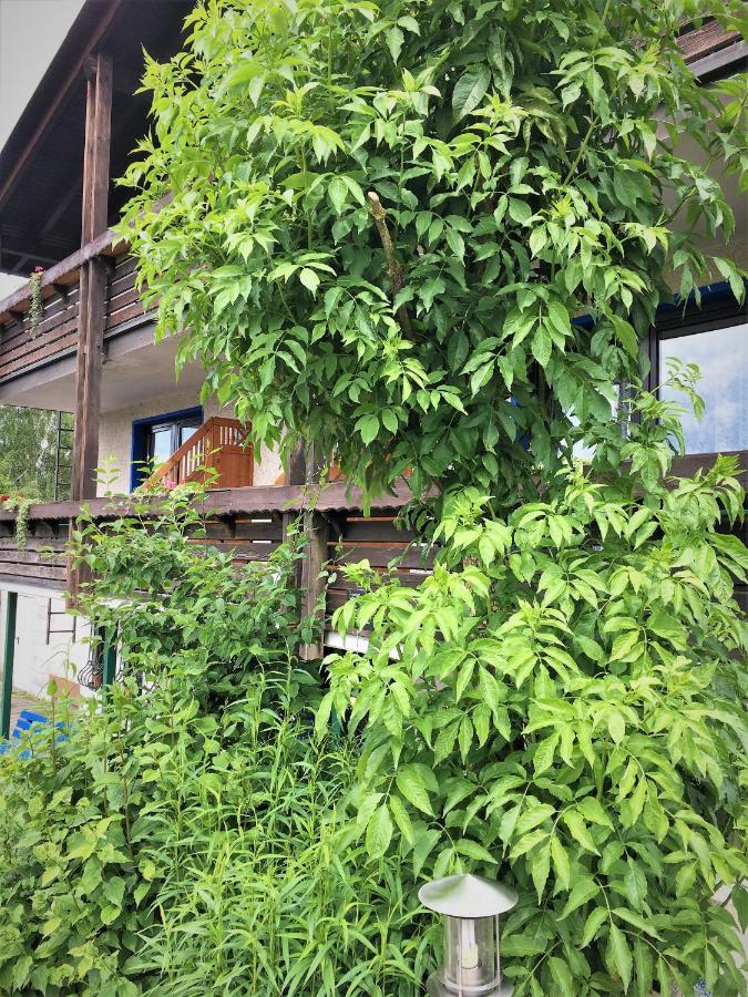Antjes Schmankerlhotel Und Restaurant Tröstau Kültér fotó